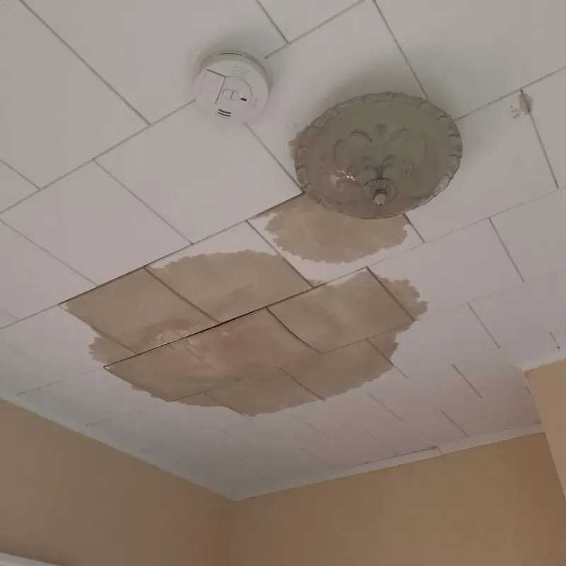 Ceiling Water Damage Repair in Newton County, TX