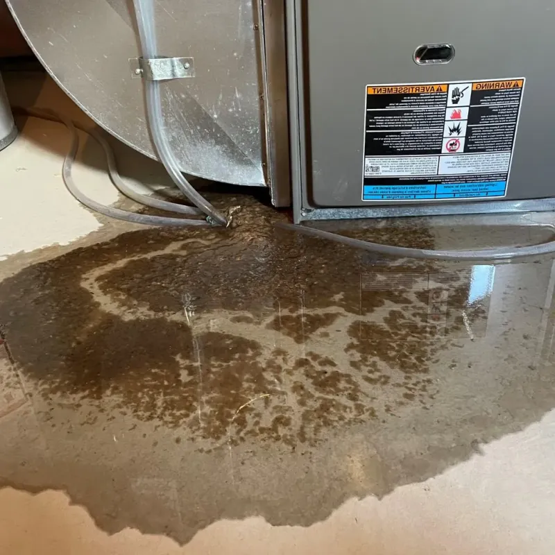 Pipe Burst and Leak Restoration in Newton County, TX