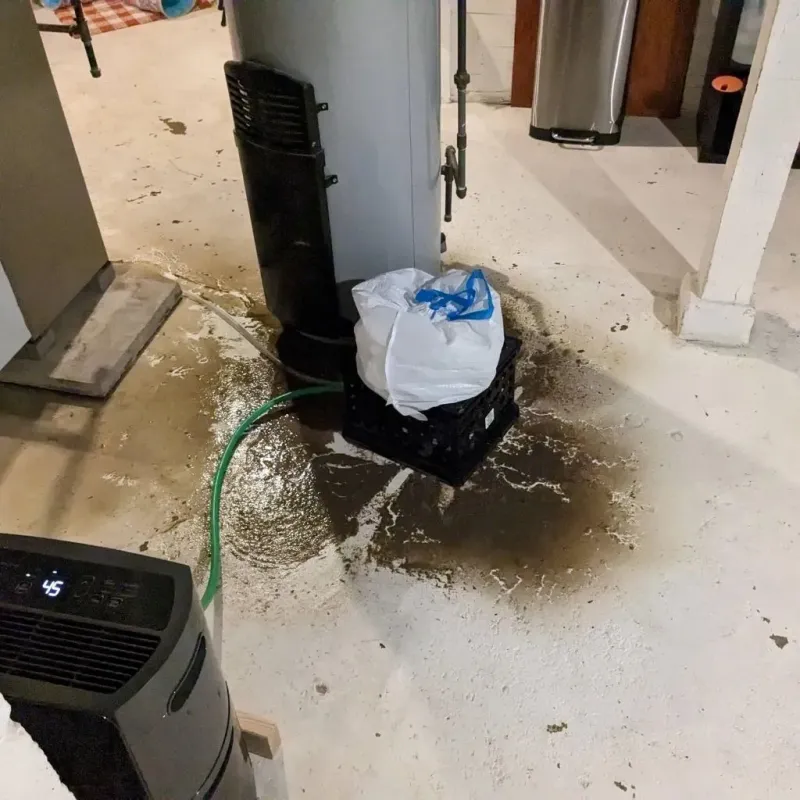 Sewage Backup Cleanup Service in Newton County, TX